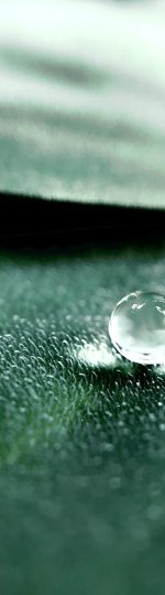 dew-drop-on-leaf-in-early-morning-1.jpg